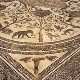 Volubilis - Mosaic
